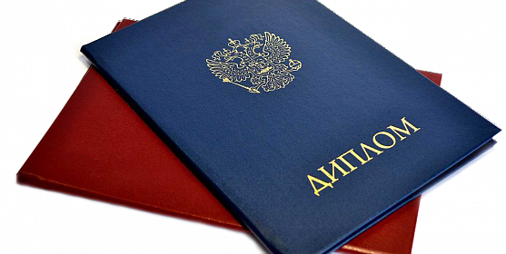 Купить диплом НИБ Ваш путь к успешной карьере -528208420